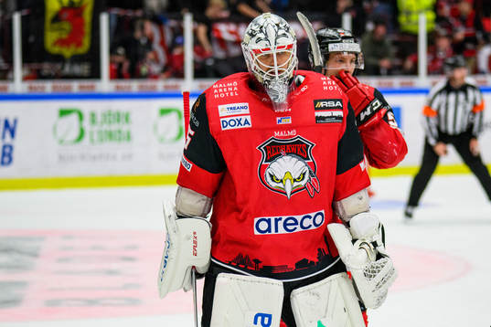 Malmö Redhawks målvakt Adam Werner deppar