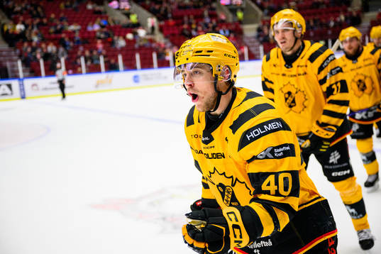 Skellefteås Andreas Wingerli jublar