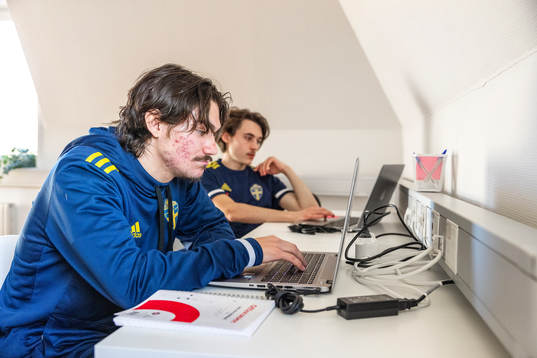 Emilio i projektet Reboot