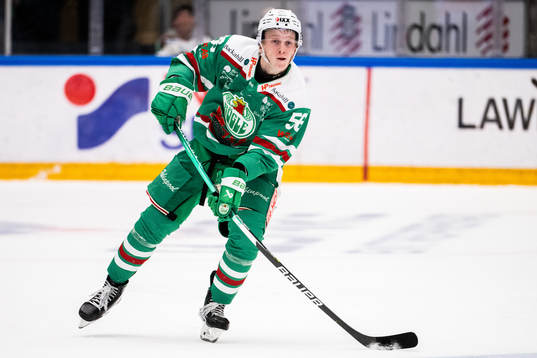Rögles Adam Engström