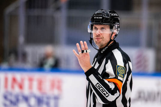 Domare Johan Magnusson