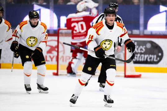 Brynäs jublar