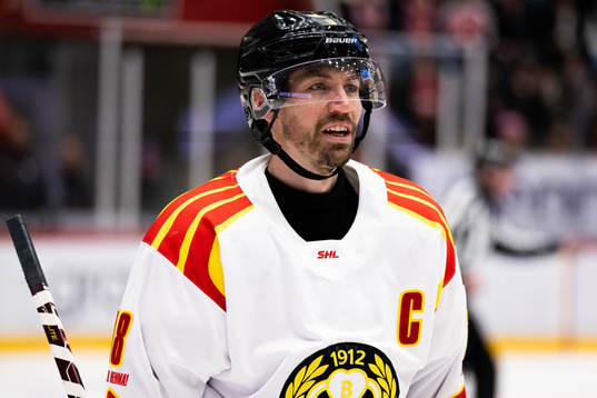 Brynäs Anton Rödin