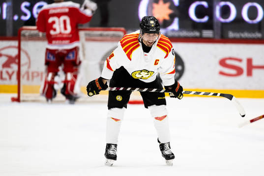 Brynäs Anton Rödin
