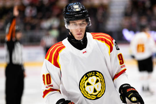 Brynäs David Sklenicka