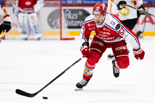 Timrås Anton Wedin