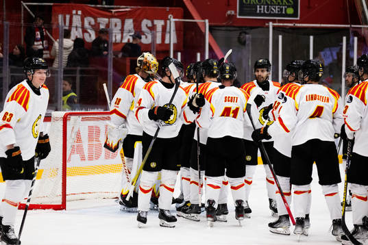 Brynäs jublar