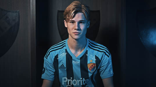 Theo Bergvall