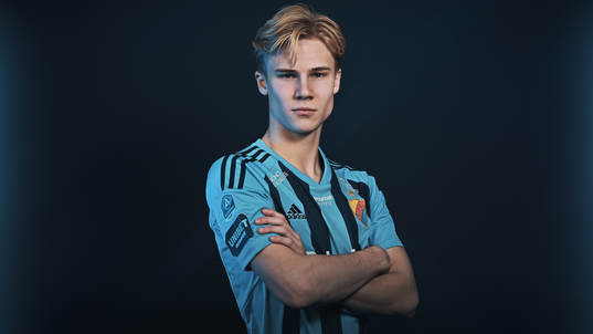 Theo Bergvall