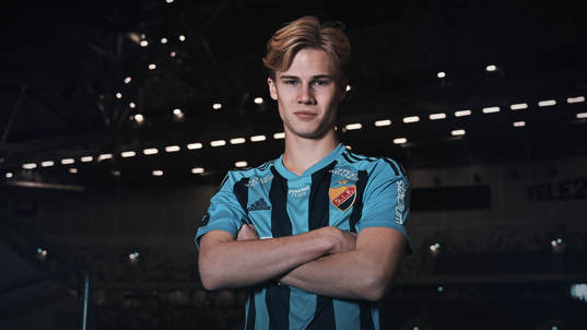 Theo Bergvall