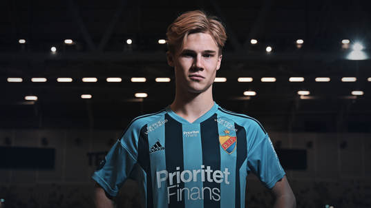 Theo Bergvall