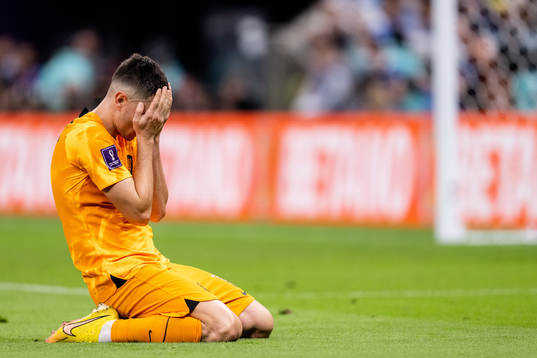 Steven Berghuis of Netherlands looks dejected