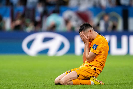 Steven Berghuis of Netherlands looks dejected