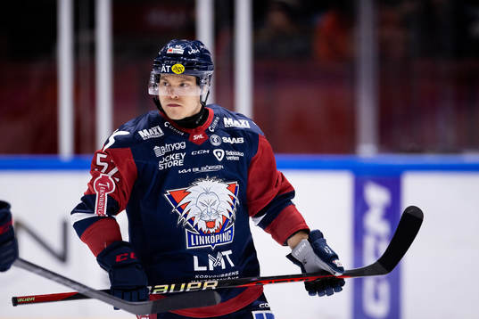 Linköpings Petrus Palmu