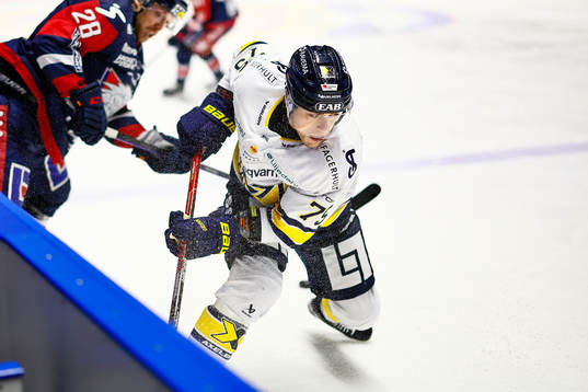 HV71s Radan Lenc