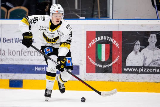 Västerås Liam Dower Nilsson