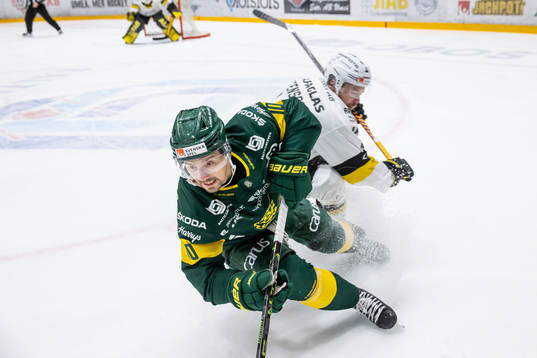 Björklövens Gerry Fitzgerald