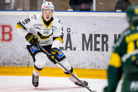 Västerås Liam Dower Nilsson