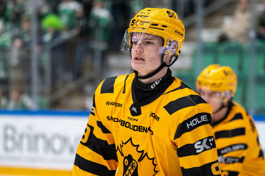 Skellefteås Theo Keilin