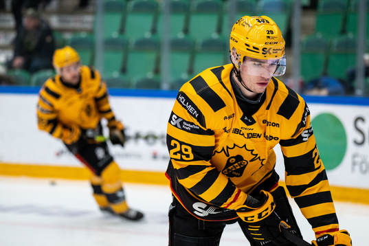 Skellefteås Albin Sundsvik