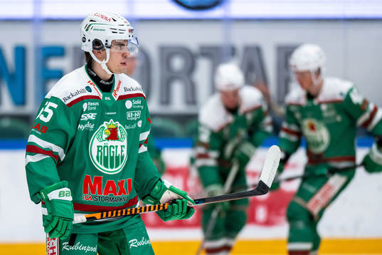 Rögles Theo Nordlund