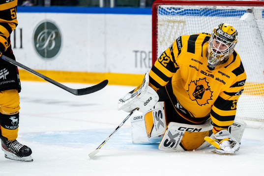 Skellefteås målvakt Linus Söderström