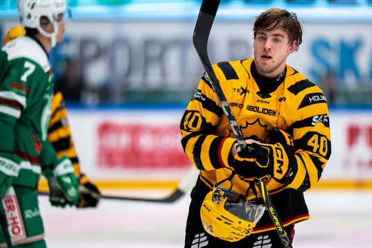 Skellefteås Andreas Wingerli