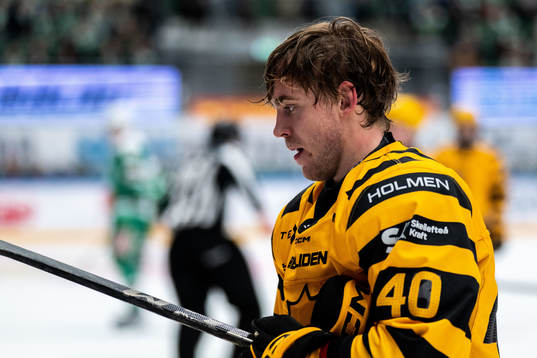 Skellefteås Andreas Wingerli