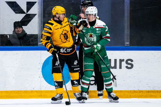 Skellefteås Rickard Hugg och Rögles Marco Kasper