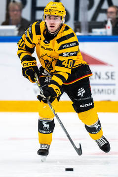 Skellefteås Andreas Wingerli