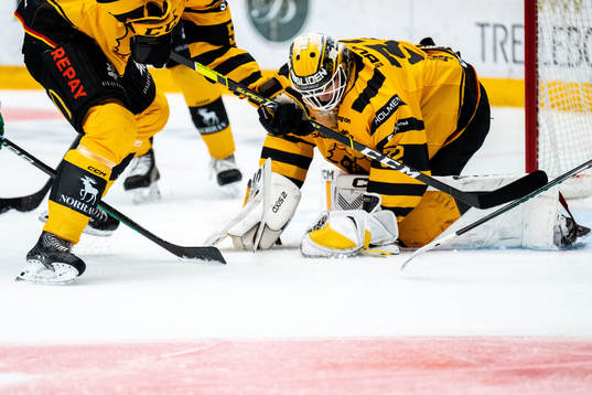 Skellefteås målvakt Linus Söderström