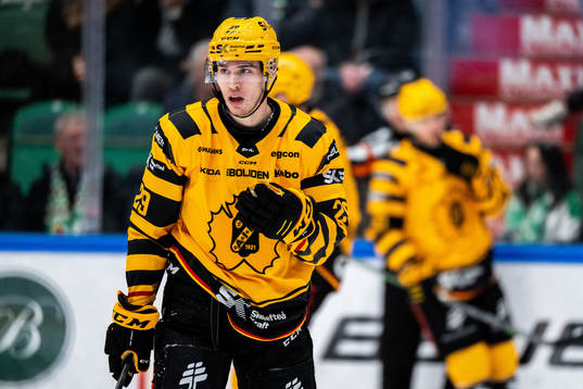 Skellefteås Albin Sundsvik