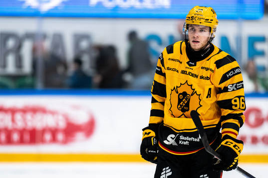 Skellefteås Rickard Hugg deppar