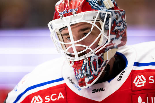 Timrås målvakt David Rautio