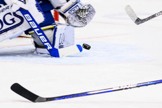 En hockeypuck