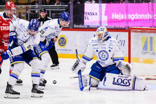 Leksands målvakt Mantas Armalis
