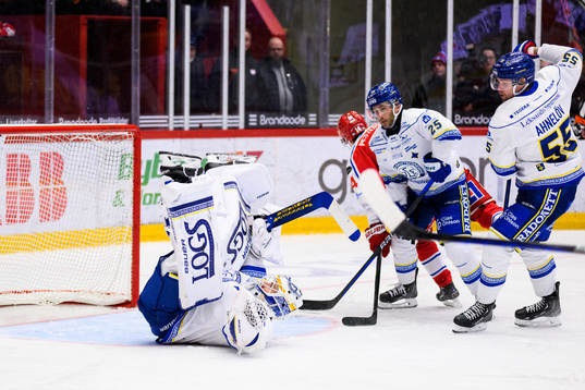Leksands målvakt Mantas Armalis