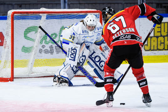 Leksands målvakt Emma Polusny