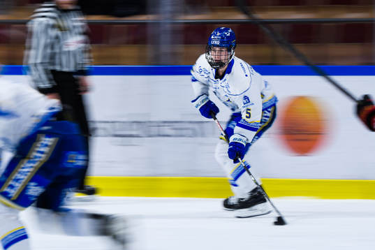 Leksands Nathalie Lidman