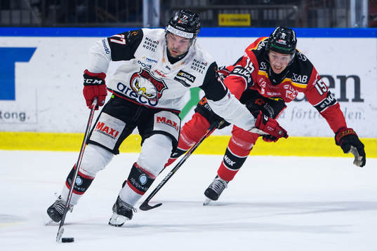 Malmö Redhawks Pathrik Westerholm och Luleås Carl Mattsson