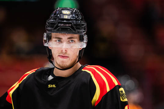 Brynäs Samuel Johannesson