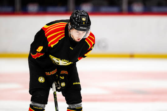 Brynäs William Strömgren