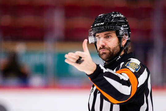 Domare Mikael Sjöqvist