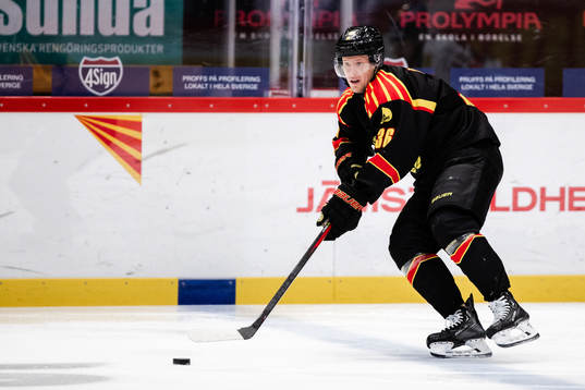 Brynäs Linus Ölund