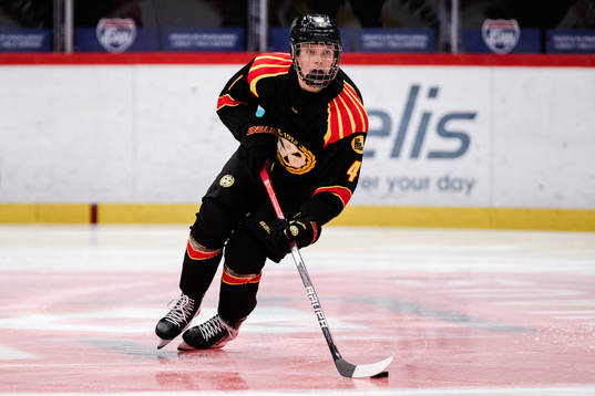 Brynäs Theo Lindstein