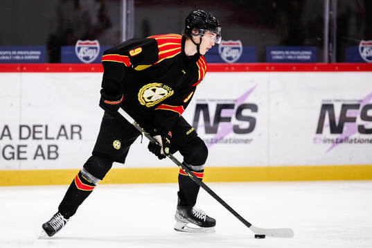 Brynäs William Strömgren