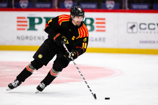 Brynäs Anton Rödin