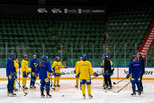 Players and head coach Ulf Lundberg of Sweden at a training