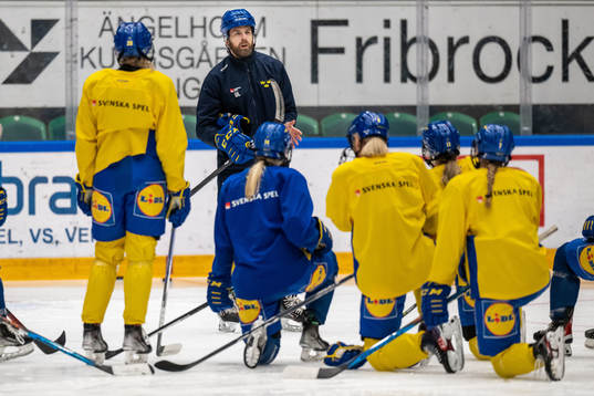 Head coach Ulf Lundberg of Sweden at a training session