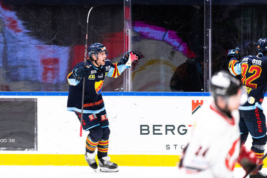 Bläddra bland fler bilder av Ishockey, Hockeyallsvenskan, Djurgården - Vita Hästen